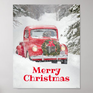 Hunde in einem LKW Poster