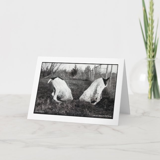 Hunde in einem Loch Karte (Vorderseite)