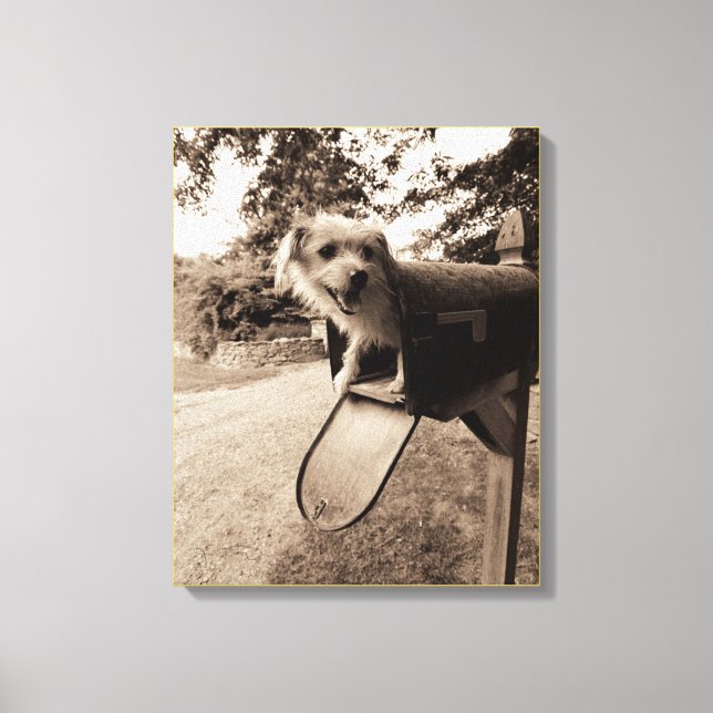 Hunde in einem Postfach Leinwanddruck (Vorderseite)