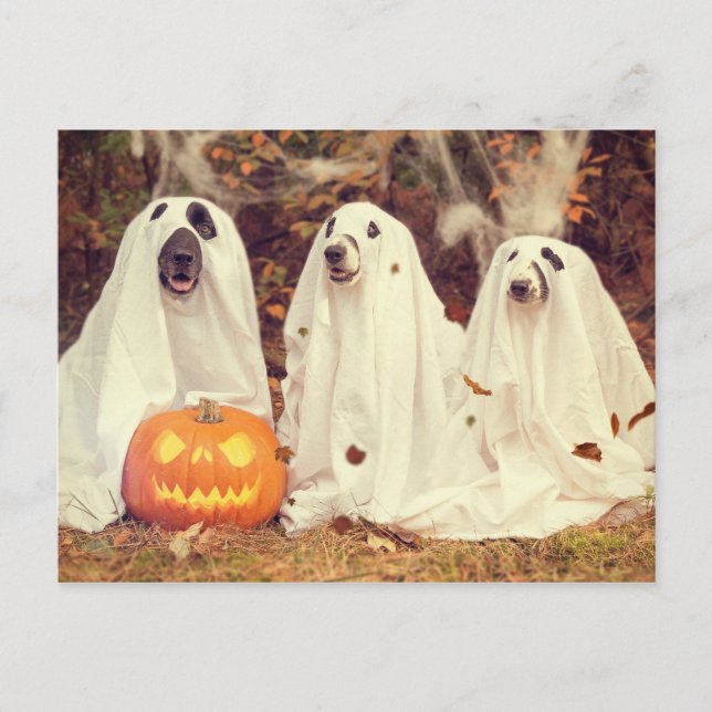 Hunde in Ghost Costumes Funny Halloween Postkarte (Vorderseite)