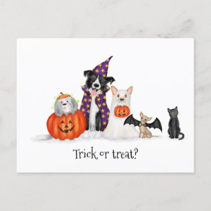 Hunde in Halloween-Kostümen Postkarte