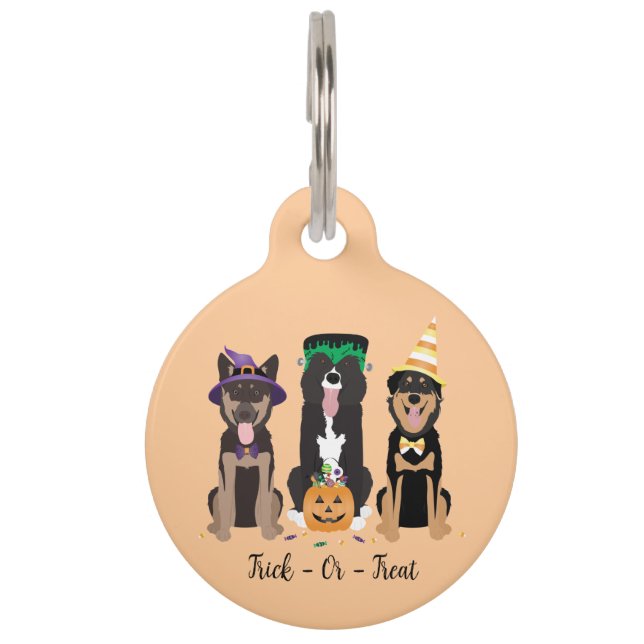 Hunde in Halloween-Kostümen probieren oder behande Haustiermarke (Vorderseite)