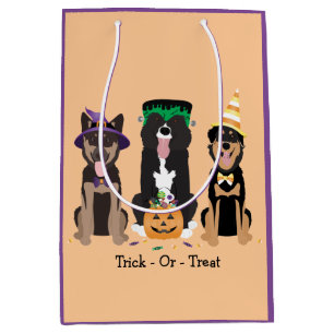 Hunde in Halloween-Kostümen probieren oder behande Mittlere Geschenktüte