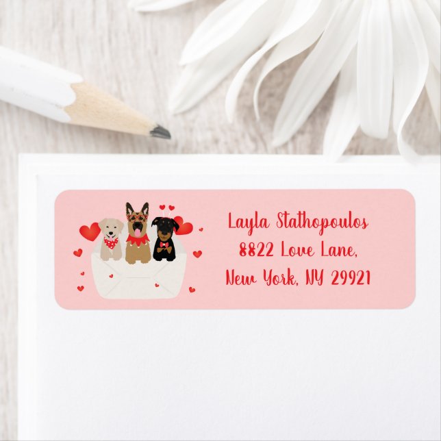 Hunde in Liebe (Insitu)