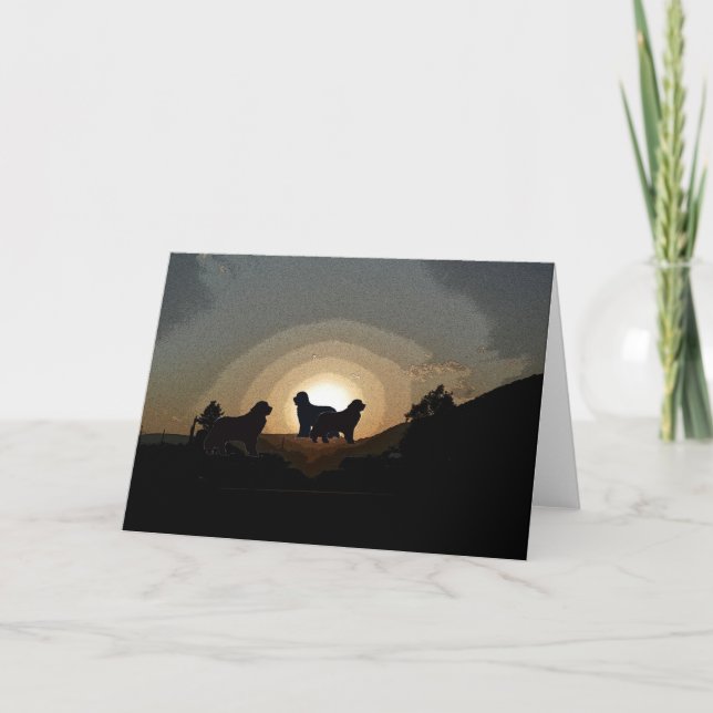 Hunde in Neufundland Grußkarte Karte (Vorderseite)