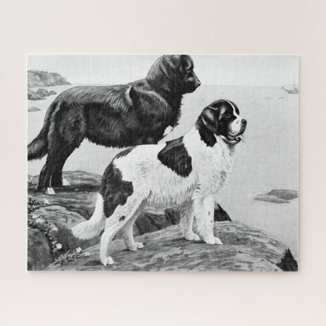Hunde in Neufundland - Vintage Illustrationsschau Puzzle (Horizontal)