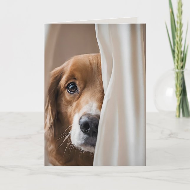 Hunde in Vorhängen für Vermisst Sie Karte (Vorderseite)