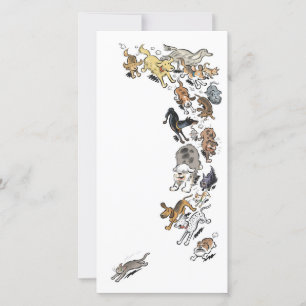 Hunde jagen Katze Dankeskarte