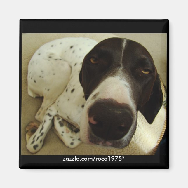 Hunde Jahre Magnet (Vorne)