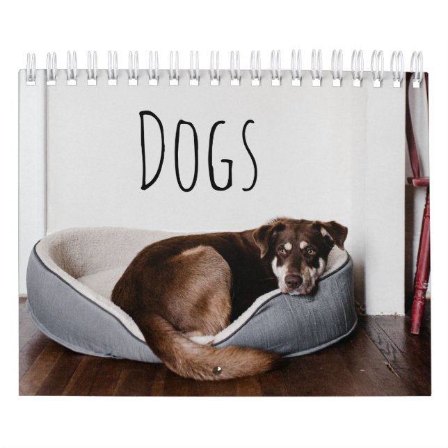 Hunde Kalender (Titelbild)