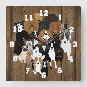 Hunde, Katze, Hühnermauer Quadratische Wanduhr