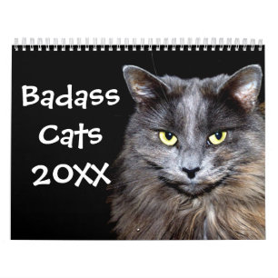Hunde Katzen mit Katitude Kalender