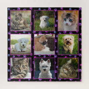 Hunde Katzen Rosa Lila Blau Pfotenabdrücke Haustie Puzzle