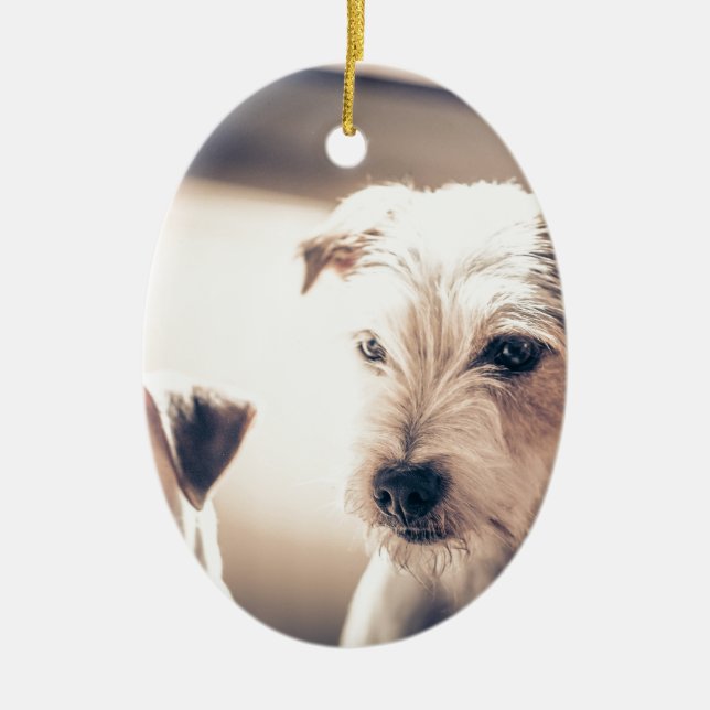 Hunde Keramik Ornament (Vorne)