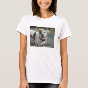 Hunde- Krebs beißt wertvolles T-Shirt
