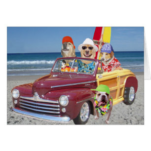 Hunde/Labradore auf dem Strand