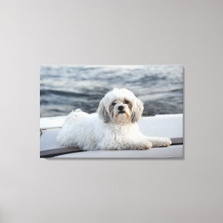 Hunde legen am Wasser Leinwanddruck