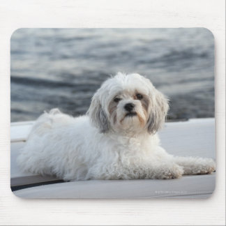 Hunde legen am Wasser Mousepad