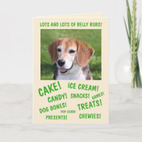 Hunde Liebe Partys Geburtstag