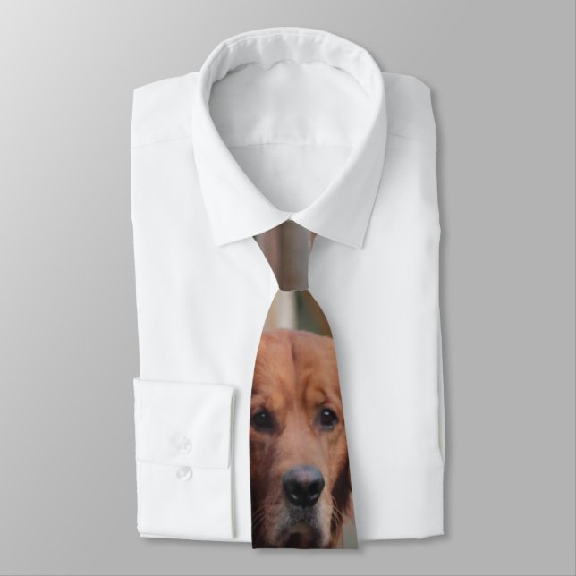 Hunde lieben Krawatte (Gebunden)