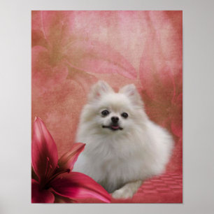 Hunde-Lily-Blume Weiße Spitz Poster