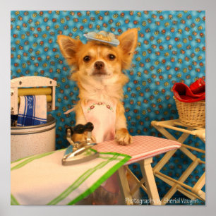 Hunde machen Eisen Poster