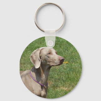 Hunde machen unser Leben ganz - Weimaraner Schlüsselanhänger