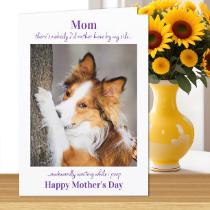 Hunde Mama Muttertag Niedlicher Hund Kack Karte
