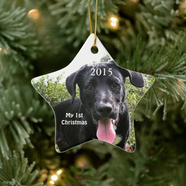 Hunde mein erstes Weihnachts-Foto Ornamente (Baum)