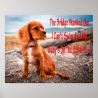 Hunde Meme Hunde Meme Humorere Fotos