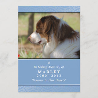 Hunde-Memorial 12x18 Light Blue nicht Gedicht abru Programm