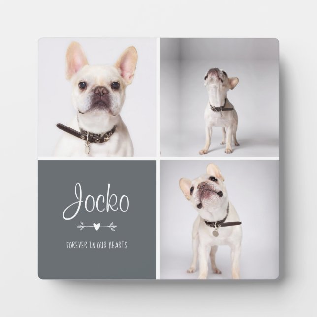 Hunde-Memorial Pet Loss Keepake Foto Collage Fotoplatte (Vorderseite)