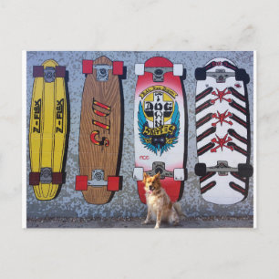 Hunde mit Dogtown-Skateboard-Wandgemälde Postkarte