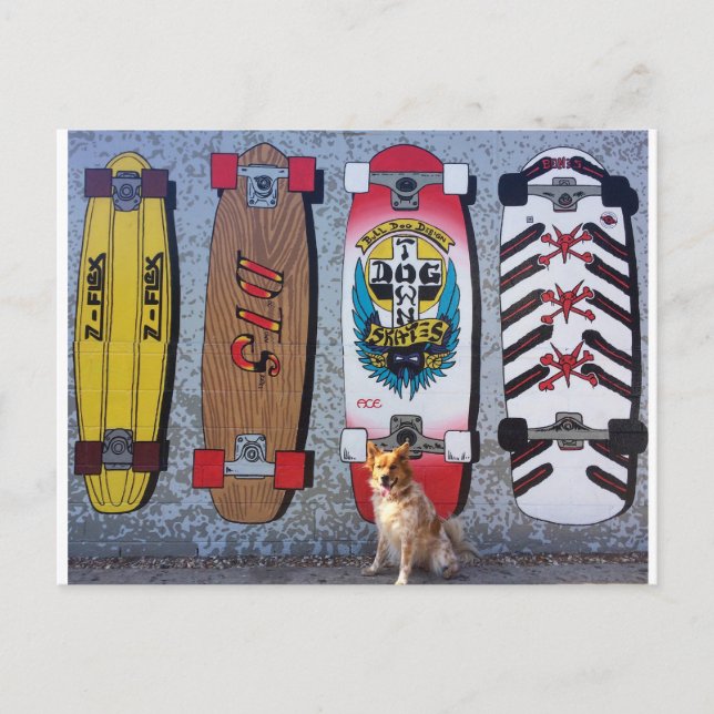 Hunde mit Dogtown-Skateboard-Wandgemälde Postkarte (Vorderseite)