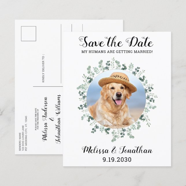 Hunde mit Eukalyptus-Hochzeit Save the Date (Vorne/Hinten)