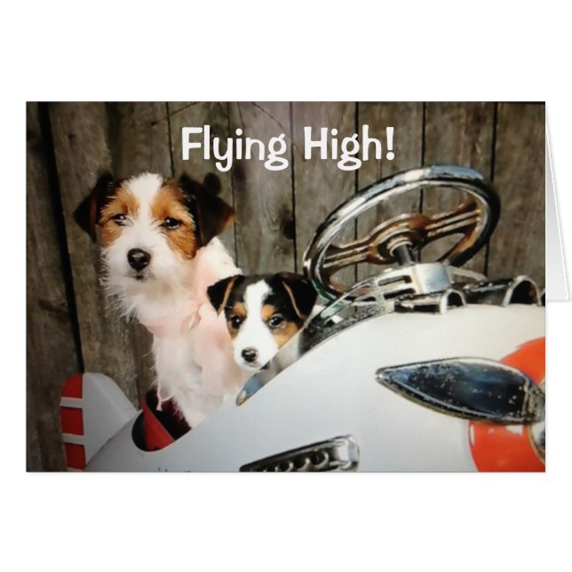 HUNDE MIT FLYING SAY-HEARD U WERDEN "40" (Vorderseite (Horizontal))