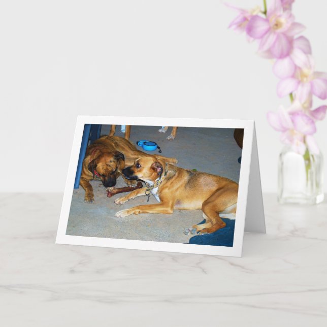 Hunde mit Knochen Karte (Orchidee)