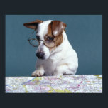 Hunde mit Lesebrille, die Karte studiert Poster<br><div class="desc">Tiere->Hund</div>