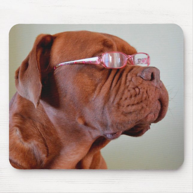 Hunde mit rosa Augenbrille Mousepad (Vorne)