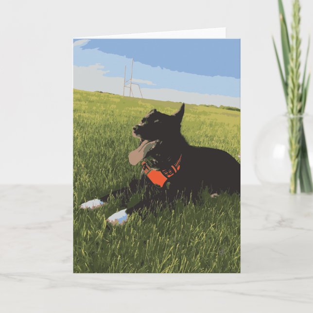 Hunde mit Zunge, die sich im Feld niederschlägt Karte (Vorderseite)