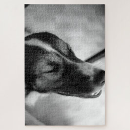 Hunde nachts aus puzzle