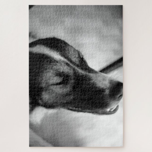 Hunde nachts aus puzzle (Vertikal)