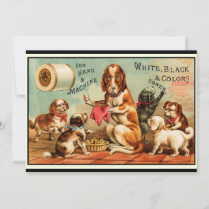 Hunde Nähen Postkarte