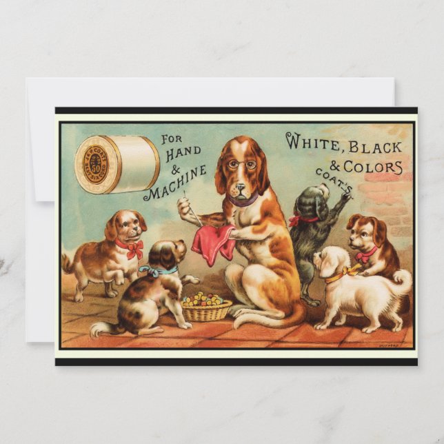 Hunde nähendes Postkarte (Vorderseite)
