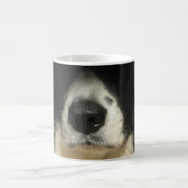 Hunde Nase nah Tasse