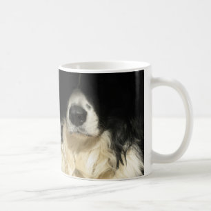 Hunde Nase nah Tasse