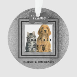 Hunde oder Katzensilber Perfekte Erinnerungen Ornament