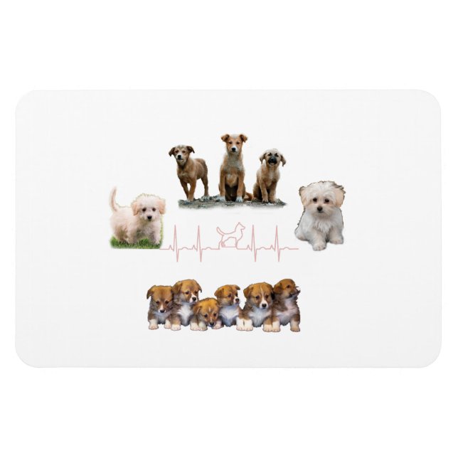 Hunde-Paket, Funny Dogs-Paket Magnet (Horizontal)