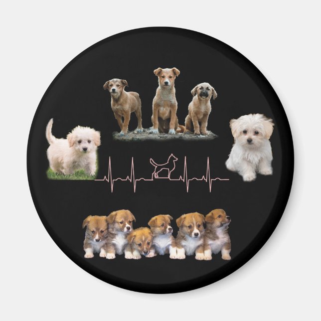 Hunde-Paket, Funny Dogs-Paket Magnet (Vorne)