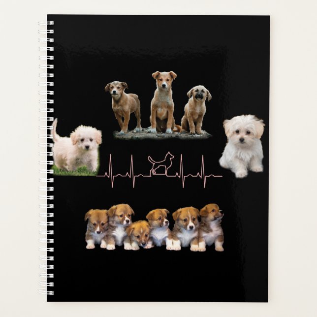 Hunde-Paket, Funny Dogs-Paket Planer (Vorderseite)